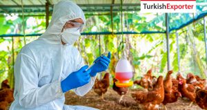 Afganistanlı Firma Veteriner İlaçları İthal Edecek