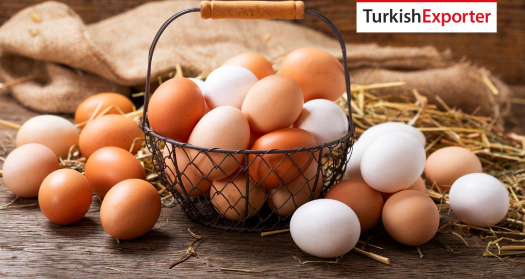 Almanya Şirketi Türkiye’den Tavuk Yumurtası Almak İstiyor