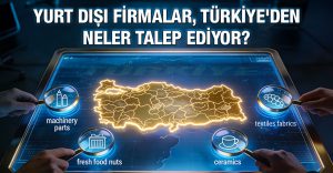Yurt Dışı Firmalar Türkiye’den Neler Talep Ediyor? 3012-364