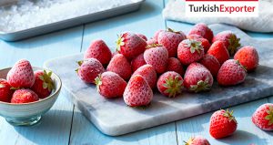 BAE Firması Türkiye’den Dondurulmuş Çilek İthal Edecek
