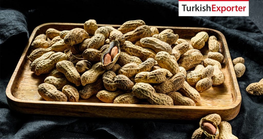 Ummanlı Şirket Türkiye’den Kabuklu Yer Fıstığı Talep Ediyor