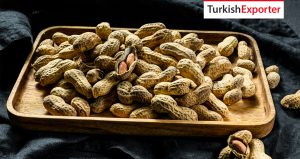 Ummanlı Şirket Türkiye’den Kabuklu Yer Fıstığı Talep Ediyor