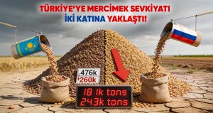 Rusya, Bir Yıl İçinde Türkiye’ye Mercimek Sevkiyatını Neredeyse İki Katına Çıkardı