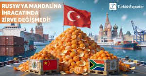 Rusya’ya Mandalina İhracatında Zirve Değişmedi: Türkiye Yine Birinci Sırada