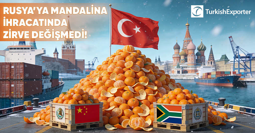 Rusya’ya Mandalina İhracatında Zirve Değişmedi: Türkiye Yine Birinci Sırada