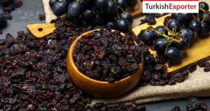 Ekvador Şirketi Türkiye’den Çekirdeksiz Kuru Üzüm Almak İstiyor