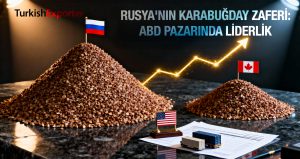 Rusya, Kanada’yı Geride Bırakarak ABD’nin En Büyük Karabuğday Tedarikçisi Oldu!