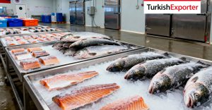 Rus Firma Türkiye’den Dondurulmuş Alabalık Tedarikçisi Arıyor
