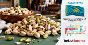 Kazakistan Şirketi Türkiye’den Antep Fıstığı İthal Edecek