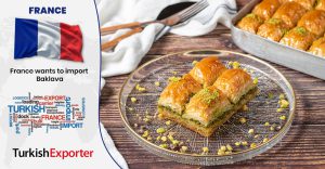Fransa’da Türk Firma, Türkiye’den Baklava Almak İstiyor