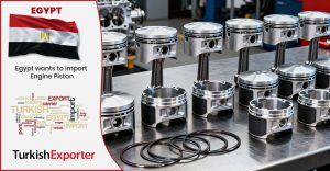 Mısırlı Firma Motor Pistonları Satın Almak İstiyor