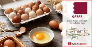 Katar Firması Türkiye’den Sofralık Yumurta İthal Edecek