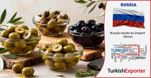 Rusya Şirketi Türkiye’den Zeytin İthal Etmek İstiyor