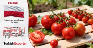 Polonyalı Firma Türkiye’den Domates İthalatı Yapacak