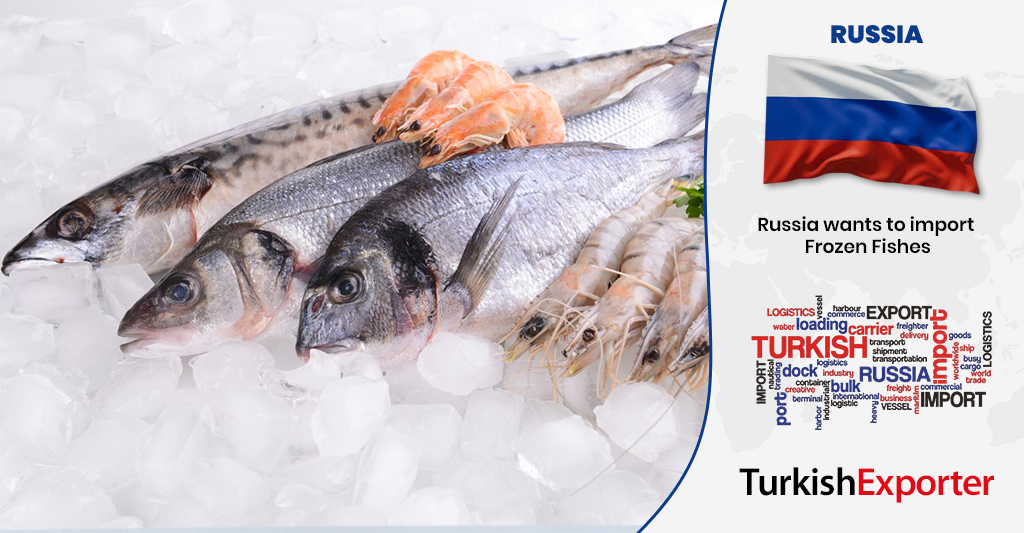 Rusya Şirketi Dondurulmuş Balık İthal Etmek İstiyor