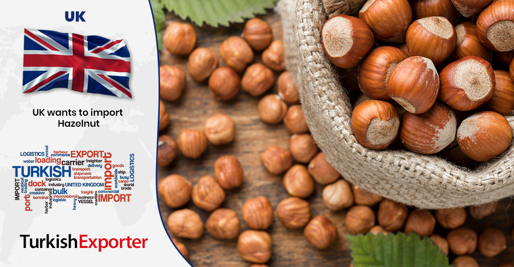 İngiltere Firması Türkiye’den Fındık İthal Edecek