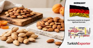 Almanya Şirketi Kayısı Çekirdeği Satın Almak İstiyor