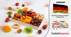 Almanya Şirketi Türkiye’den Kuru Meyve Almak İstiyor
