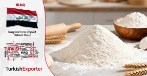 Iraklı Alıcı Firma Türkiye’den Buğday Unu Talep Ediyor