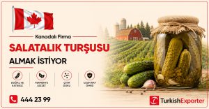 Kanadalı Firma Salatalık Turşusu Almak İstiyor