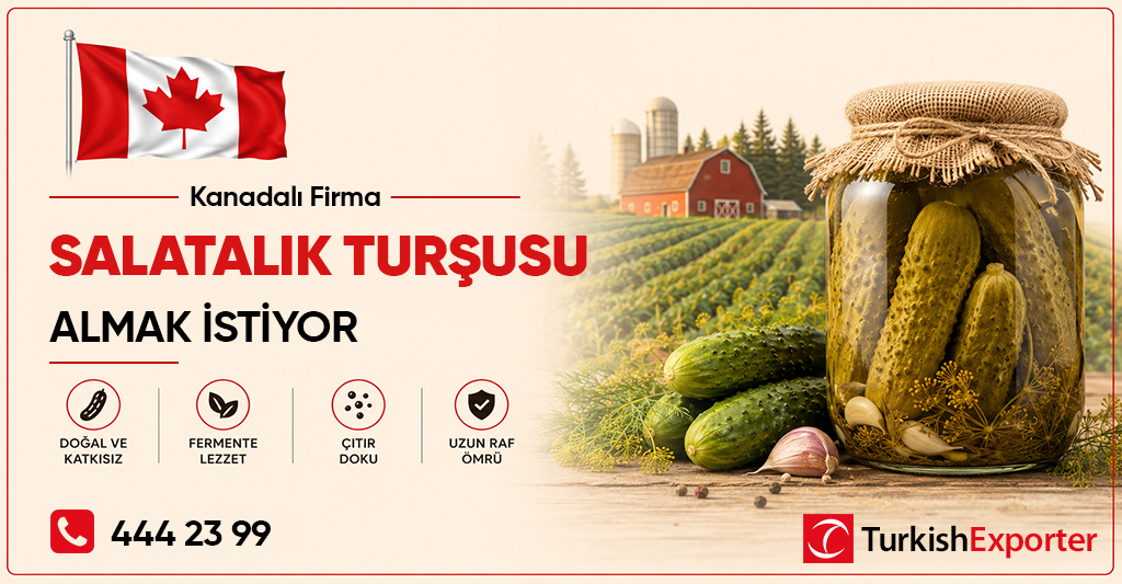 Kanadalı Firma Salatalık Turşusu Almak İstiyor