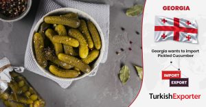 Gürcistan Firması Salatalık Turşusu Satın Almak İstiyor