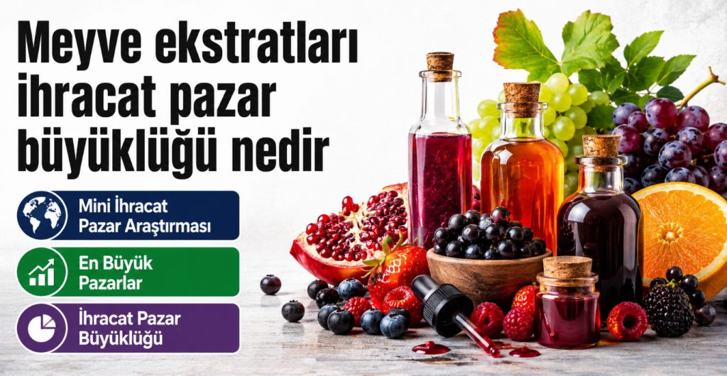 Meyve Ekstratları İhracat Pazar Büyüklüğü Nedir