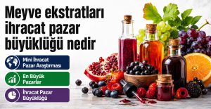 Meyve Ekstratları İhracat Pazar Büyüklüğü Nedir