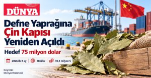 Türk Defne Yaprağı için Çin Pazarı Yeniden Açılıyor