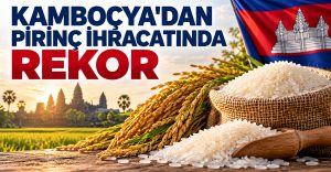 Kamboçya Pirinç İhracatında Rekor Kırdı: 1 Milyon Ton