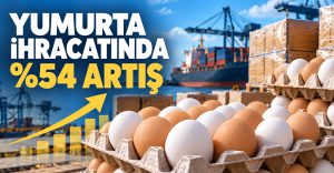 Türkiye’nin Yumurta İhracatı %54 Arttı: 9 Ayda 418,7 Milyon Dolar