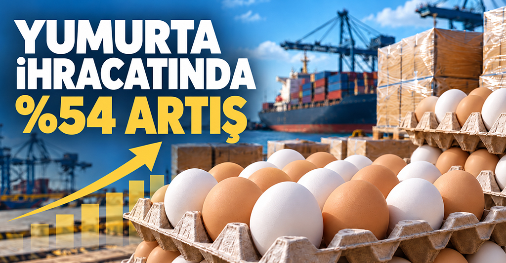 Türkiye’nin Yumurta İhracatı %54 Arttı: 9 Ayda 418,7 Milyon Dolar